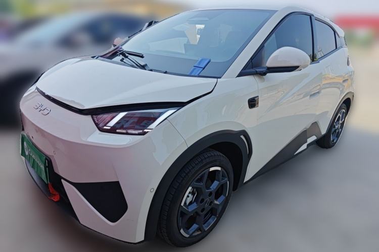 BYD Seagull 2025 Smart Drive Version 305 km Freedom Edition