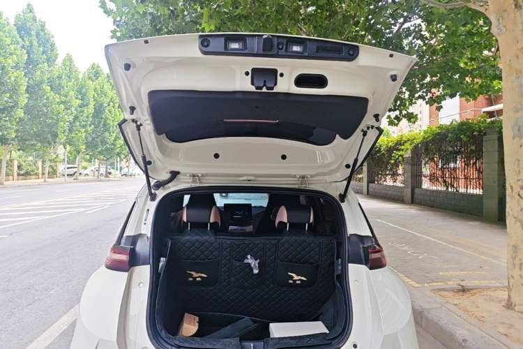 Used BYD Seagull 2025 Smart Drive Version 305 km Freedom Edition Trunk