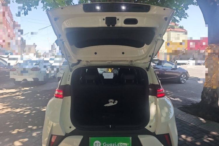Used BYD Seagull 2025 Smart Drive Version 305 km Freedom Edition Trunk