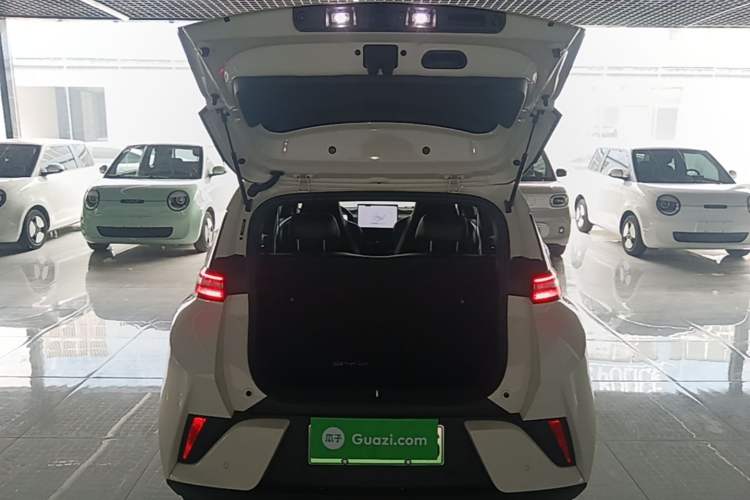 Used BYD Seagull 2025 Smart Drive Version 305 km Freedom Edition Trunk