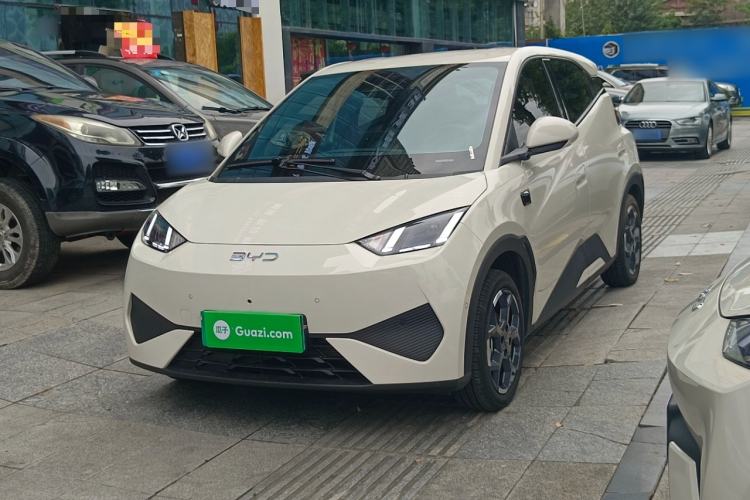 BYD Seagull 2025 Smart Drive Version 305 km Freedom Edition