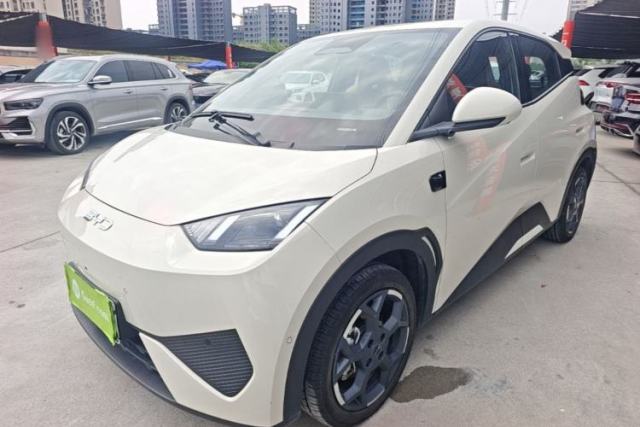 Used BYD Seagull 2025 Smart Drive Version 305 km Freedom Edition