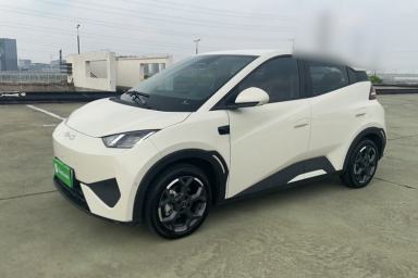 Used BYD Seagull 2025 Smart Drive Version 305 km Freedom Edition