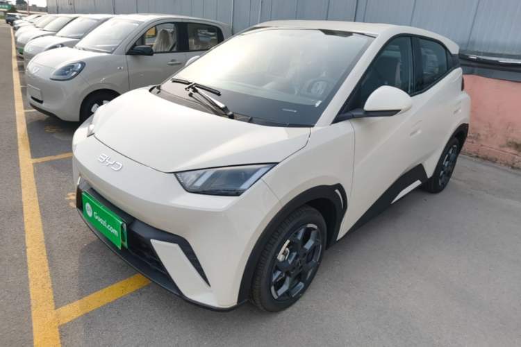 Used BYD Seagull 2025 305 km Free Version Guazi used car, China used car export, Used car for sale, Used  cars, Cheapest cars for sale
