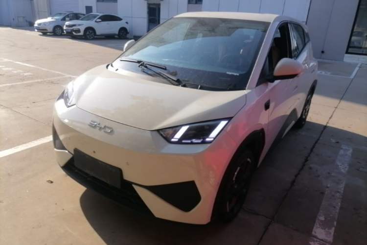 BYD Seagull 2025 Smart Drive Version 305 km Freedom Edition