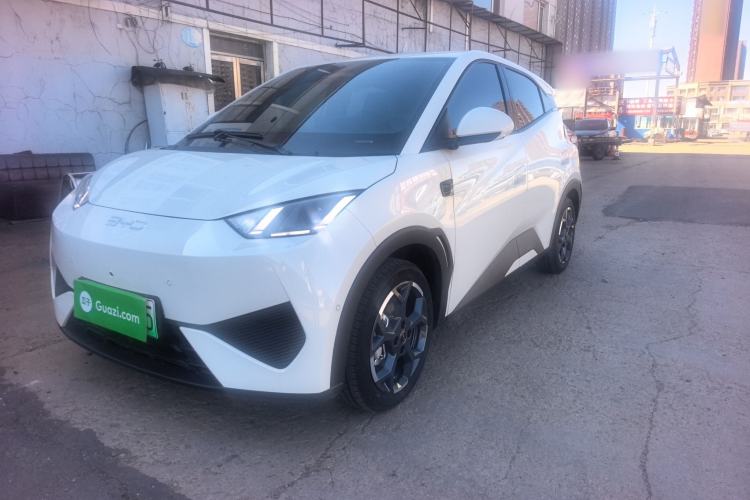 BYD Seagull 2025 Smart Drive Version 305 km Freedom Edition