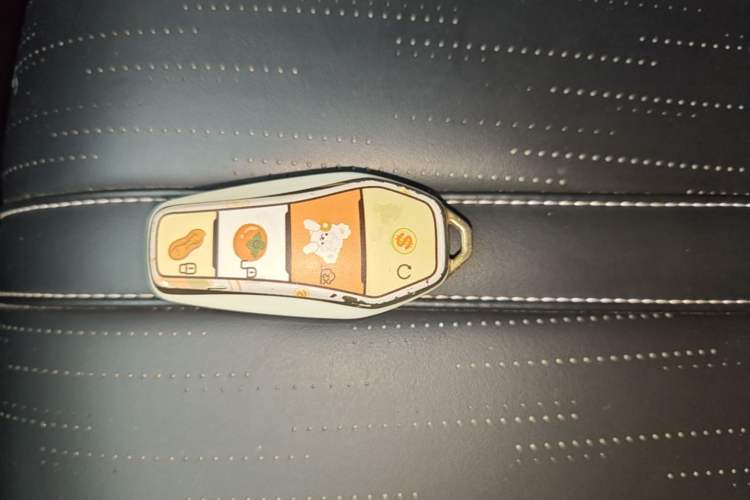 Used BYD Seagull 2025 405 km Flying Edition Vehicle Key