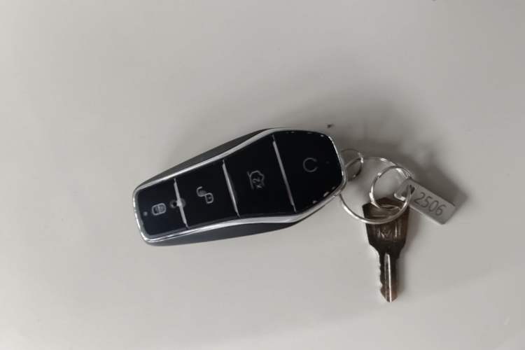 Used BYD Seagull 2025 Smart Drive Version 305 km Freedom Edition Vehicle Key