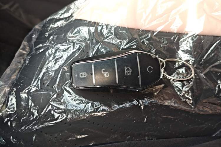 Used BYD Seagull 2025 Intelligent Driving Version 305 km Dynamic Edition Vehicle Key