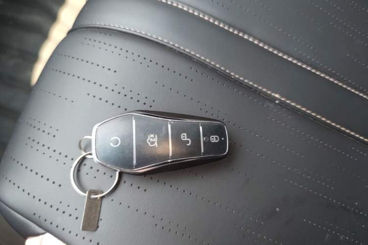 Used BYD Seagull 2025 305 km Free Version Vehicle Key