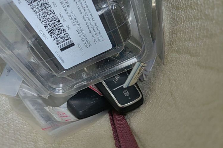 Used BYD Seagull 2025 Intelligent Driving Version 305 km Dynamic Edition Vehicle Key