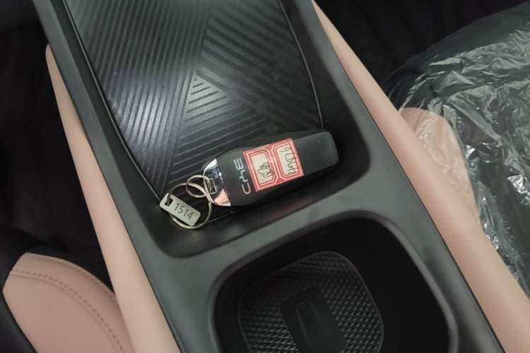 Used BYD Seagull 2025 Intelligent Driving Version 305 km Dynamic Edition Vehicle Key