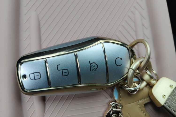 Used BYD Seagull 2025 Smart Drive Version 305 km Freedom Edition Vehicle Key