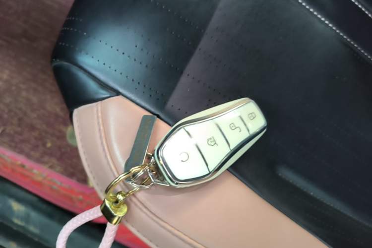 Used BYD Seagull 2025 305km Active Version Vehicle Key
