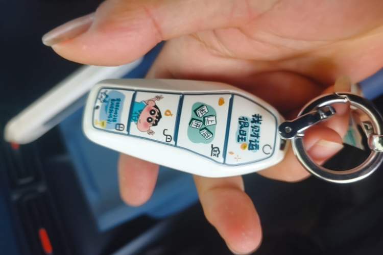 Used BYD Seagull 2025 Intelligent Driving Version 305 km Dynamic Edition Vehicle Key