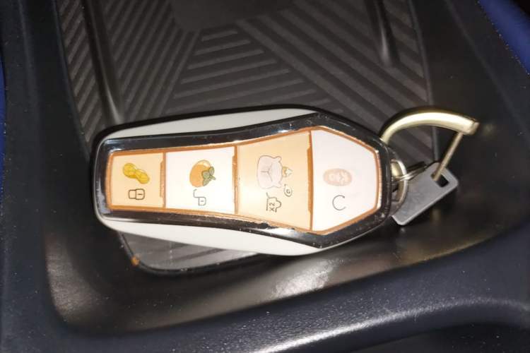 Used BYD Seagull 2025 Smart Drive Version 305 km Freedom Edition Vehicle Key