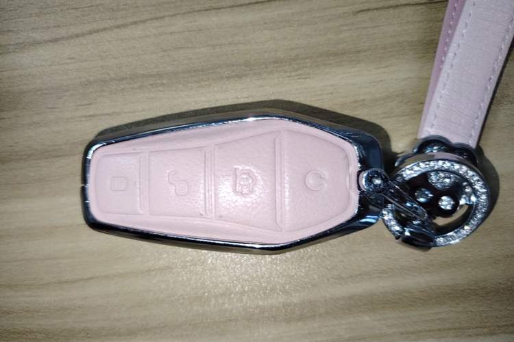 Used BYD Seagull 2025 305 km Free Version Vehicle Key