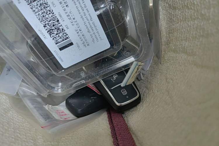 Used BYD Seagull 2025 Intelligent Driving Version 305 km Dynamic Edition Vehicle Key