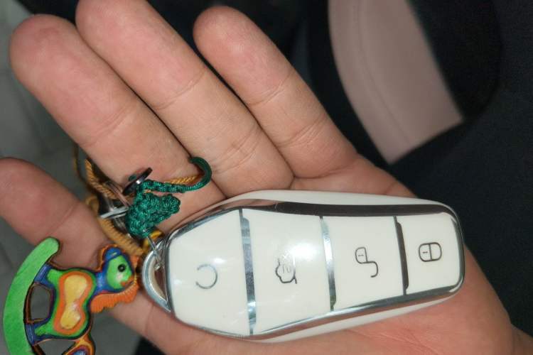 Used BYD Seagull 2025 305 km Free Version Vehicle Key