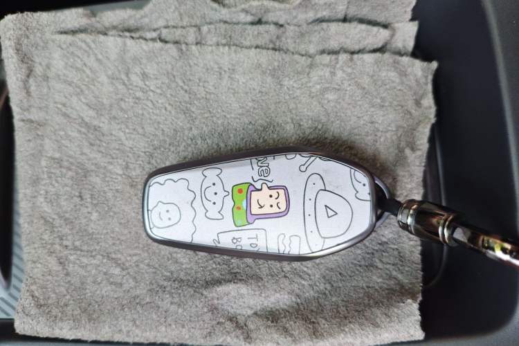 Used BYD Seagull 2025 Smart Drive Version 305 km Freedom Edition Vehicle Key