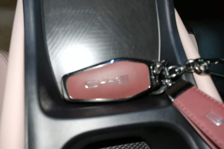 Used BYD Seagull 2025 Intelligent Driving Version 305 km Dynamic Edition Vehicle Key