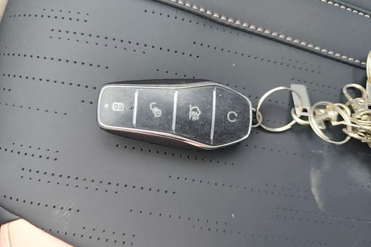 Used BYD Seagull 2025 Intelligent Driving Version 305 km Dynamic Edition Vehicle Key