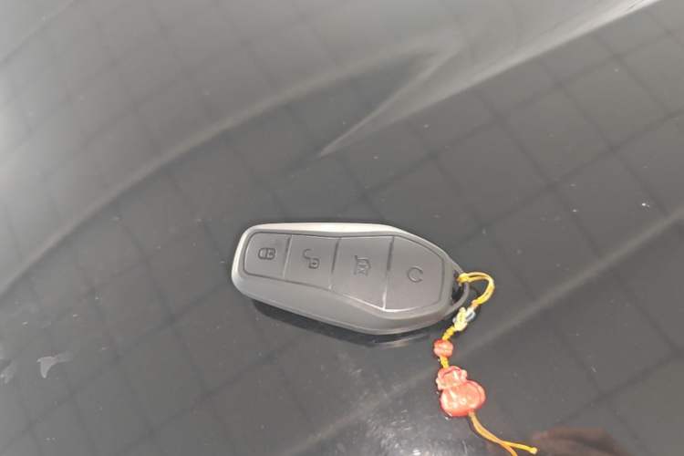 Used BYD Seagull 2025 Intelligent Driving Version 305 km Dynamic Edition Vehicle Key