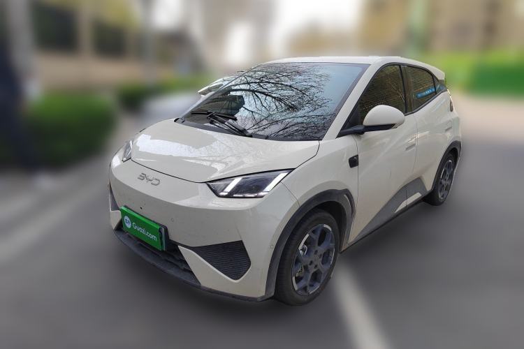 Used BYD Seagull 2025 Smart Drive Version 305 km Freedom Edition Guazi used car, China used car export, Used car for sale, Used  cars, Cheapest cars for sale