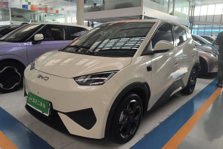BYD Seagull 2025 Smart Drive Version 305 km Freedom Edition