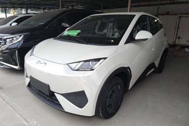 Used BYD Seagull 2025 Intelligent Driving Version 305 km Dynamic Edition