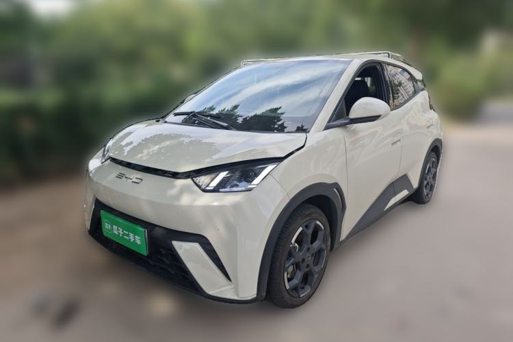 BYD Seagull 2025 305 km Free Version
