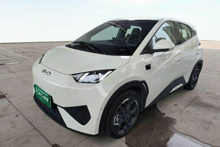 BYD Seagull 2025 Intelligent Driving Version 405 km Flying Edition