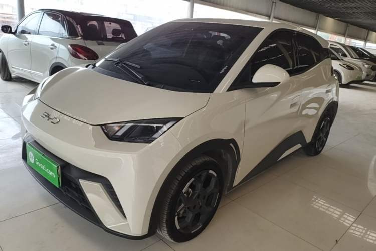 BYD Seagull 2025 305 km Free Version