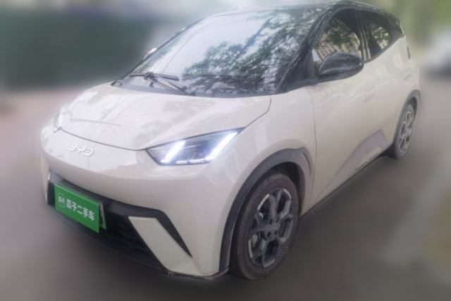 Used BYD Seagull 2025 305 km Free Version