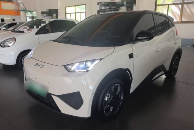 Used BYD Seagull 2025 Smart Drive Version 305 km Freedom Edition