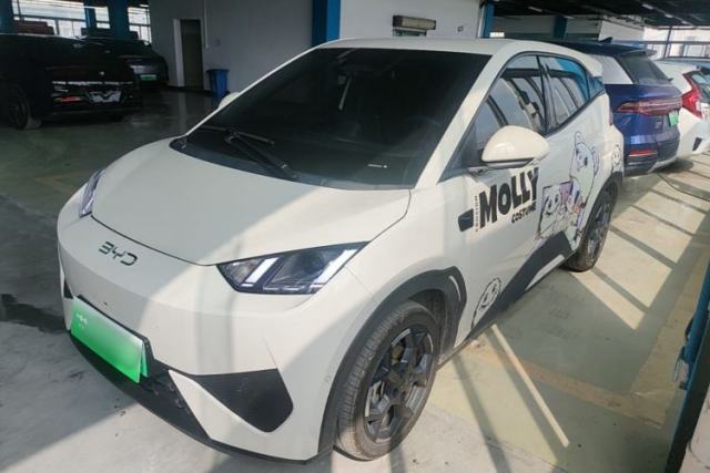Used BYD Seagull 2025 Smart Drive Version 305 km Freedom Edition
