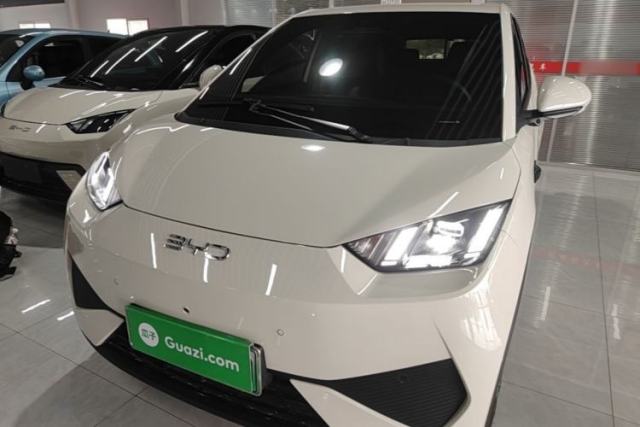 Used BYD Seagull 2025 Smart Drive Version 305 km Freedom Edition