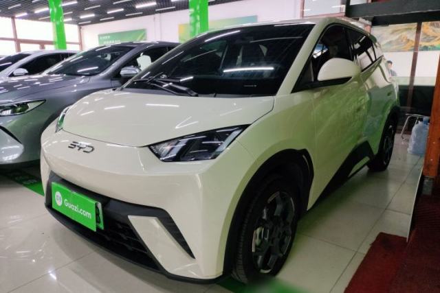 Used BYD Seagull 2025 305 km Free Version