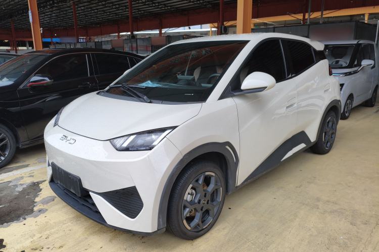BYD Seagull 2025 Model Smart Drive Version 405km Free-Spirited Version