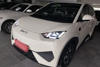 Used BYD Seagull 2025 Smart Drive Version 305 km Freedom Edition