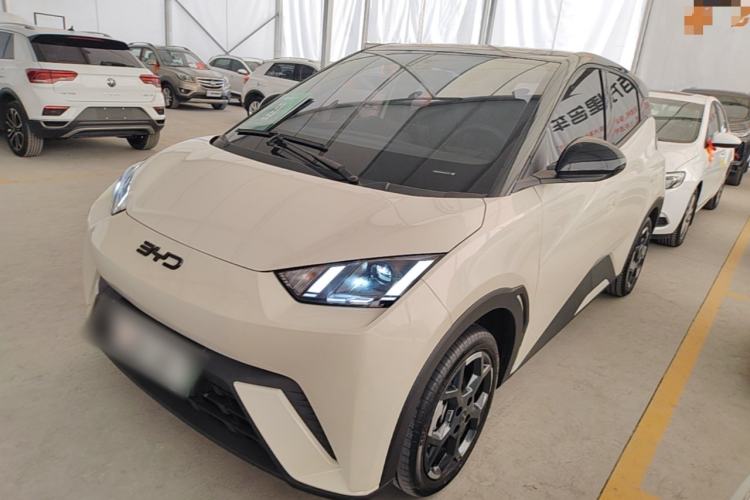 BYD Seagull 2025 305 km Free Version