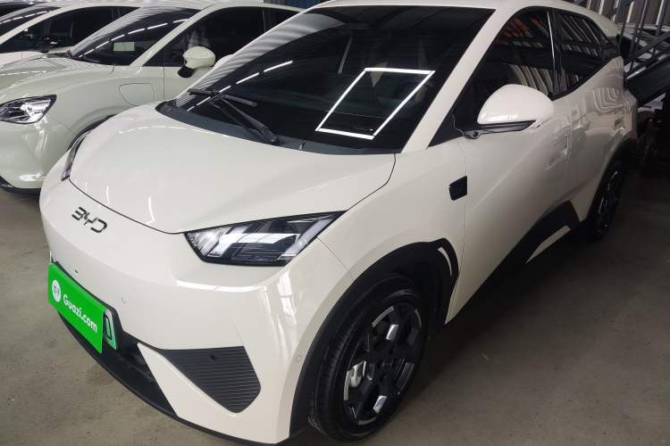 BYD Seagull 2025 Smart Drive Version 305 km Freedom Edition usata Guazi used car, China used car export, Used car for sale, Used  cars, Cheapest cars for sale
