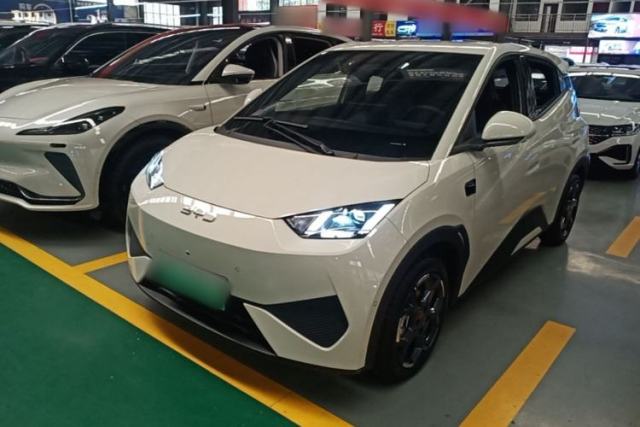 Used BYD Seagull 2025 Smart Drive Version 305 km Freedom Edition
