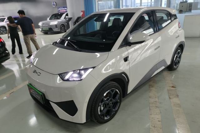 Used BYD Seagull 2025 305 km Free Version
