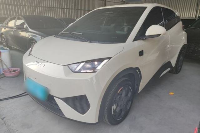 Used BYD Seagull 2025 Smart Drive Version 305 km Freedom Edition