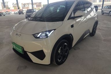 Used BYD Seagull 2025 Smart Drive Version 305 km Freedom Edition
