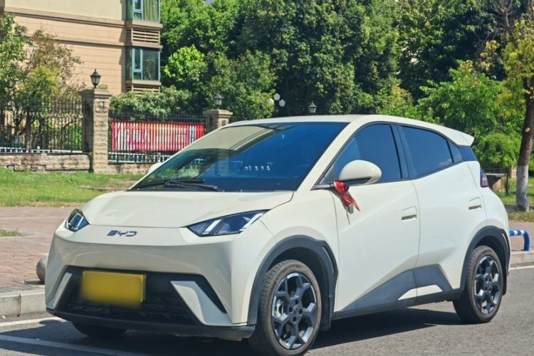 Used BYD Seagull 2025 305 km Free Version Guazi used car, China used car export, Used car for sale, Used  cars, Cheapest cars for sale