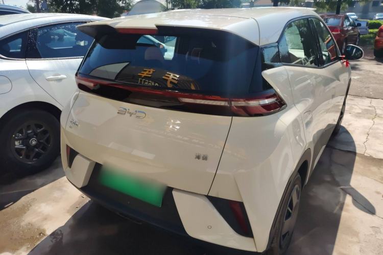Used BYD Seagull 2025 Intelligent Driving Version 305 km Dynamic Edition Exterior 3