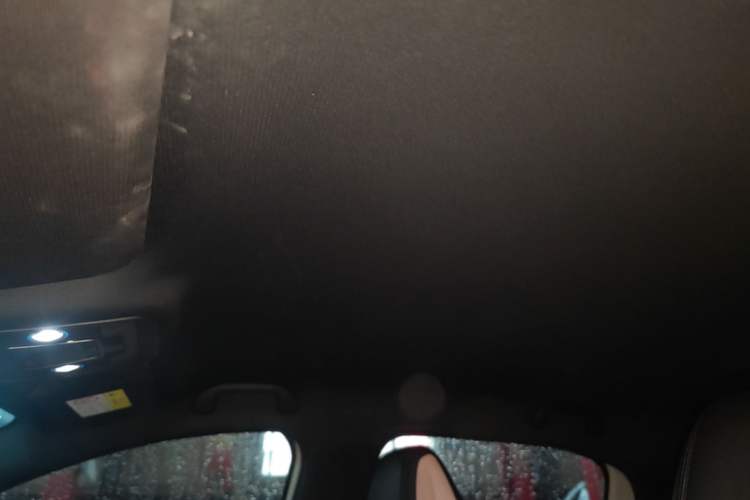 Used BYD Seagull 2025 Intelligent Driving Version 305 km Dynamic Edition Headliner