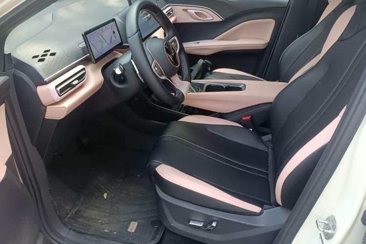 Used BYD Seagull 2025 305 km Free Version Left Front Seat